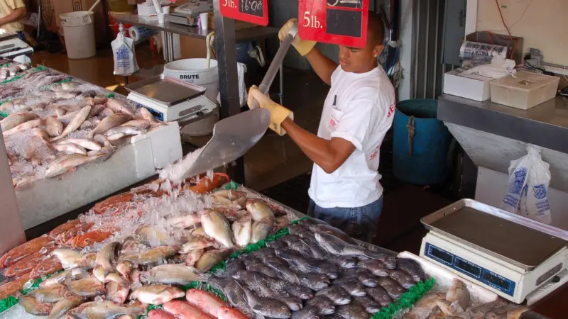 The proposal aims to trace the origins of imported seafood