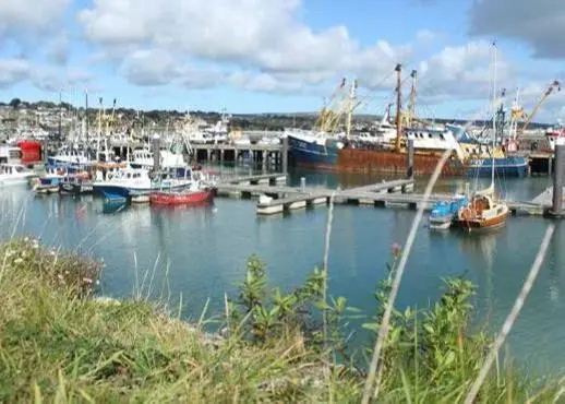 Shark By-Watch UK 2 project emphasises the important of using fisher knowledge