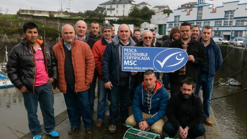 The Spanish fishery has become the first octopus fishery in the world to achieve MSC certification