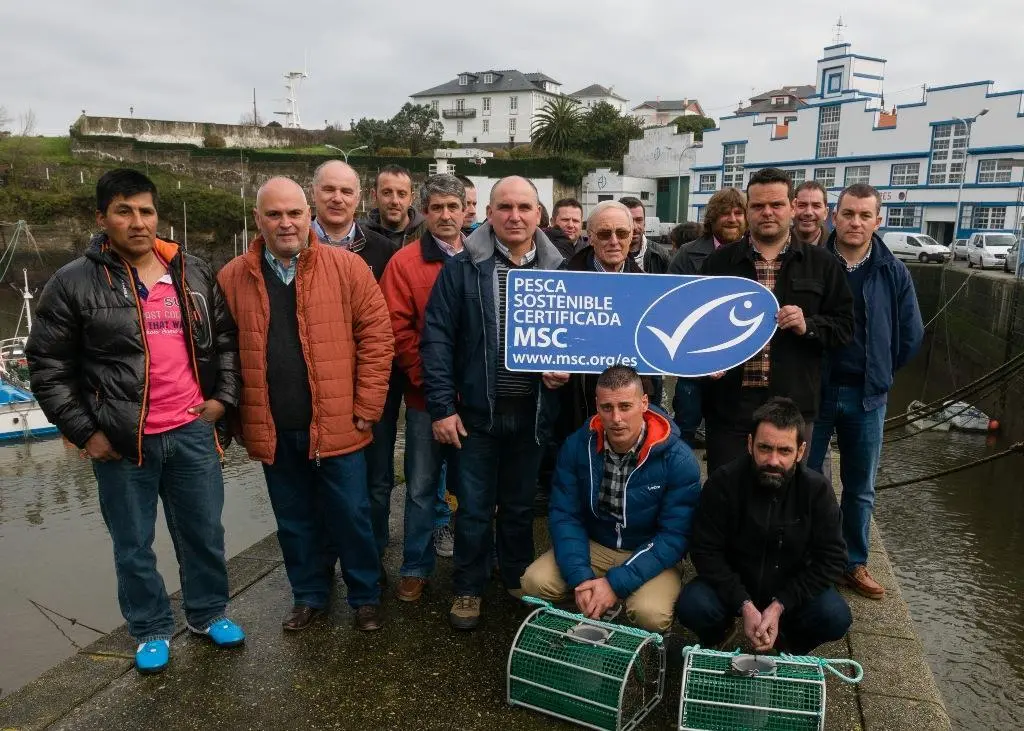 The Spanish fishery has become the first octopus fishery in the world to achieve MSC certification