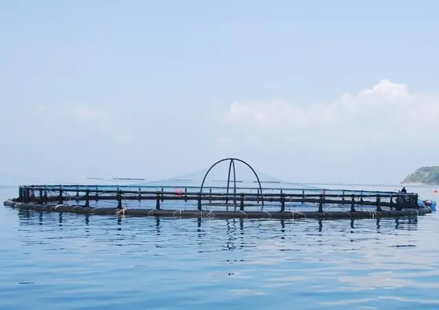 The CFS has filed a lawsuit challenging NOAA’s new regulations which permit industrial aquaculture offshore in US federal waters