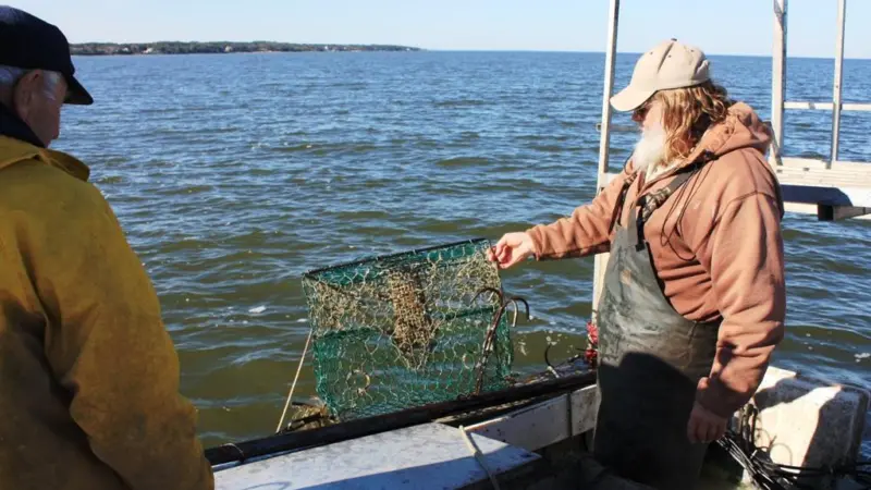 The University of California and crab fishermen have joined forces to retrieve lost crab gear