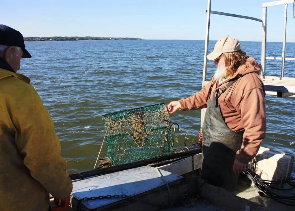 The University of California and crab fishermen have joined forces to retrieve lost crab gear