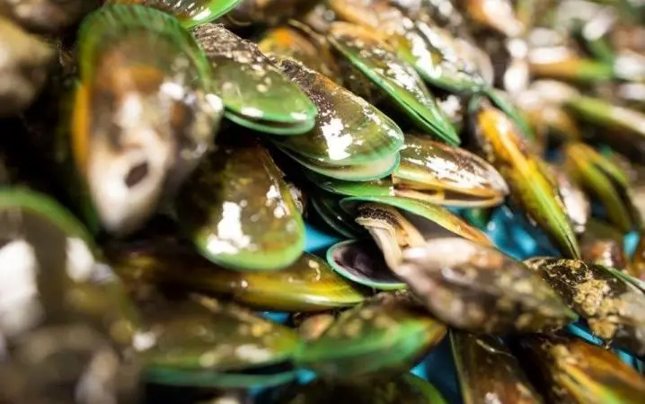 Sanford has been awarded BAP certification for its green lipped mussels
