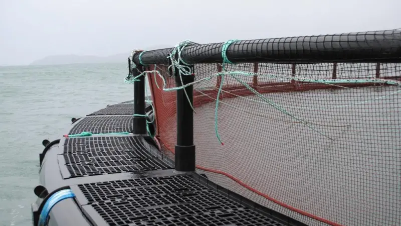 Cooke Aquaculture Scotland has ordered new pens from Fusion Marine