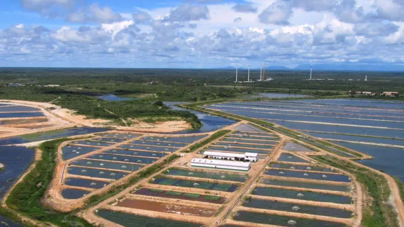 The partnership with Aquabel is an important milestone should help AquaGen extend its priority areas into the aquaculture industry