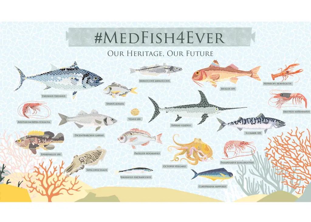 The artwork is inspired by the fish-featuring mosaics from ancient times and is meant as a reminder of how deeply fish and fishing are rooted in European culture