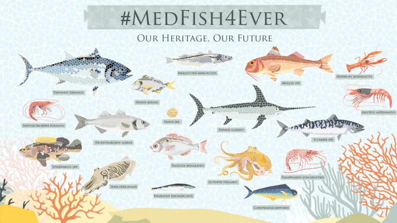 The artwork is inspired by the fish-featuring mosaics from ancient times and is meant as a reminder of how deeply fish and fishing are rooted in European culture