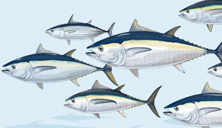 The report estimates the global value of tuna to be more than US$42 billion