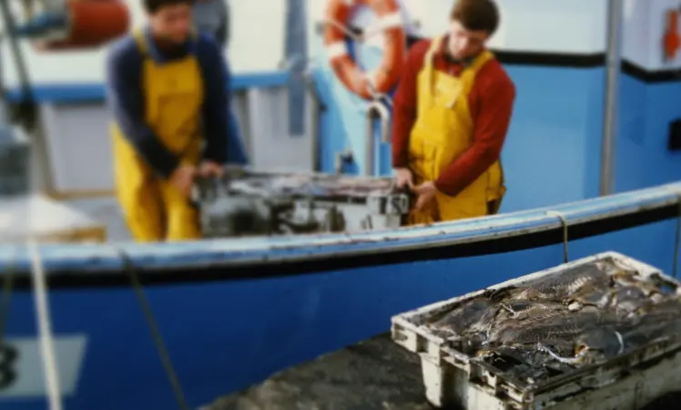 The EC has adopted a proposal to improve the working conditions for fisheries workers. Credit: Jean-Pierre Bazard/CC BY-SA 3.0, via Wikimedia Commons