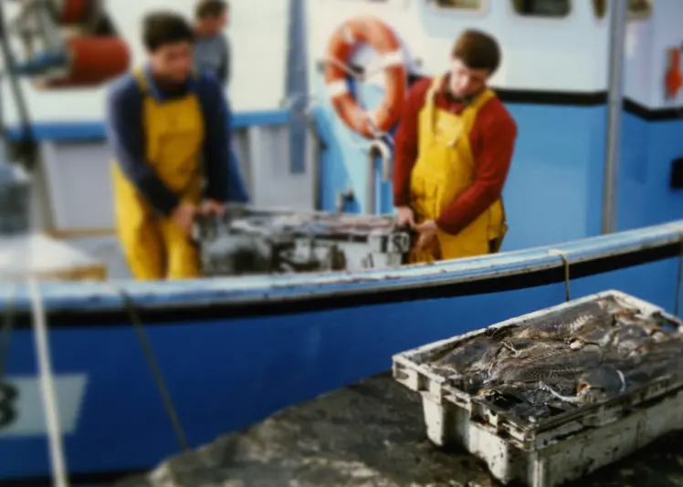 The EC has adopted a proposal to improve the working conditions for fisheries workers. Credit: Jean-Pierre Bazard/CC BY-SA 3.0, via Wikimedia Commons