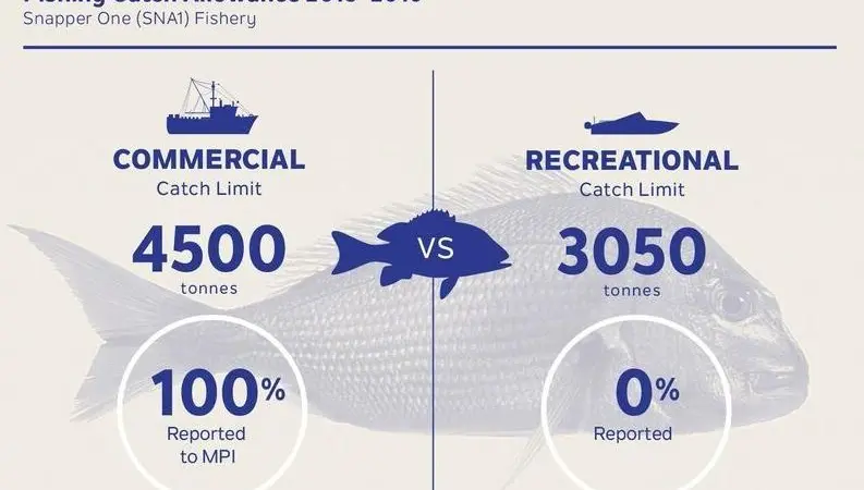 SNA1 data shows returns to the sea are 3.2% of commercial snapper catch; returns to the sea for recreational catch are unknown
