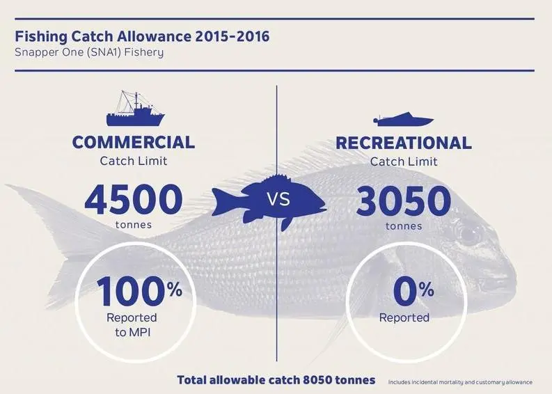 SNA1 data shows returns to the sea are 3.2% of commercial snapper catch; returns to the sea for recreational catch are unknown