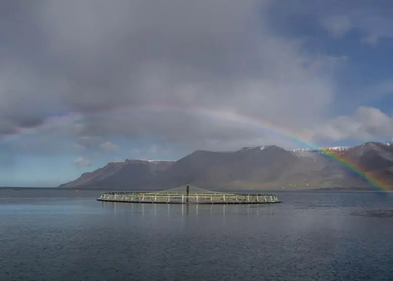 Arctic Fish is the first Icelandic aquaculture producer to become ASC certified