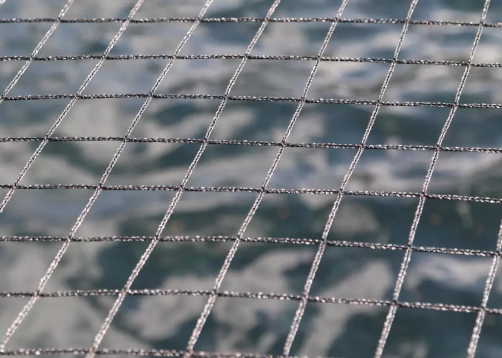 A protective net to prevent birds eating salmon - taken at one of Scottish Salmon Company's sites