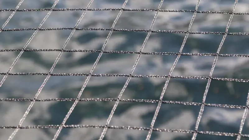 A protective net to prevent birds eating salmon - taken at one of Scottish Salmon Company's sites
