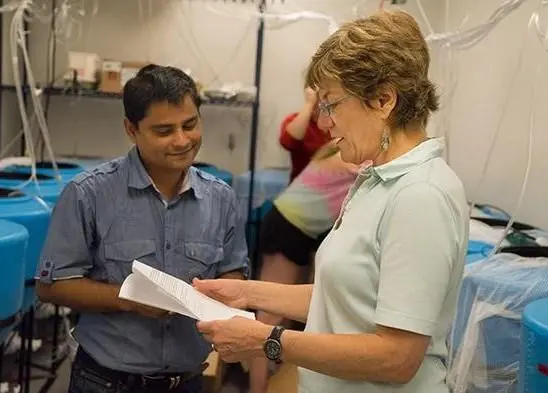 Dartmouth Research Assistant Professor Pallab Sarker (left) and Professor Anne Kapucinski conduct an experiment on the use of microalgae as a sustainable feed ingredient for aquaculture of tilapia. Credit: Dartmouth College