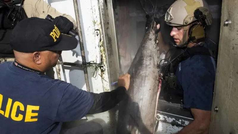 Inspection of a foreign fishing vessel as part of the Oceania Maritime Security Initiative. Credit: U.S. Navy photo by Mass Communication Specialist 2nd Class Will Gaskill