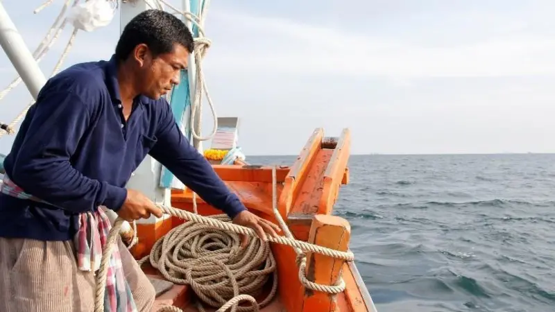 The aim of the project is to enhance community capacity and develop sustainable fisheries in Pathiu Bay, Thailand