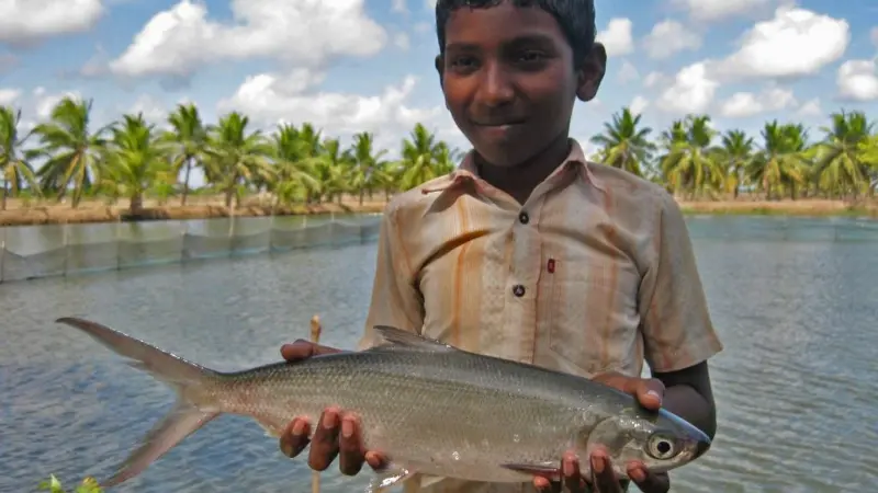 Boy with a milkfish in India. Credit: Arun Padiyar, 2011/CC BY-NC-ND 2.0