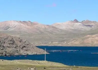 Peruvian Andean Trout is the world’s first company to offer four-star BAP trout