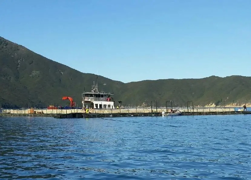 New Kopaua farm, Pelorus Sound