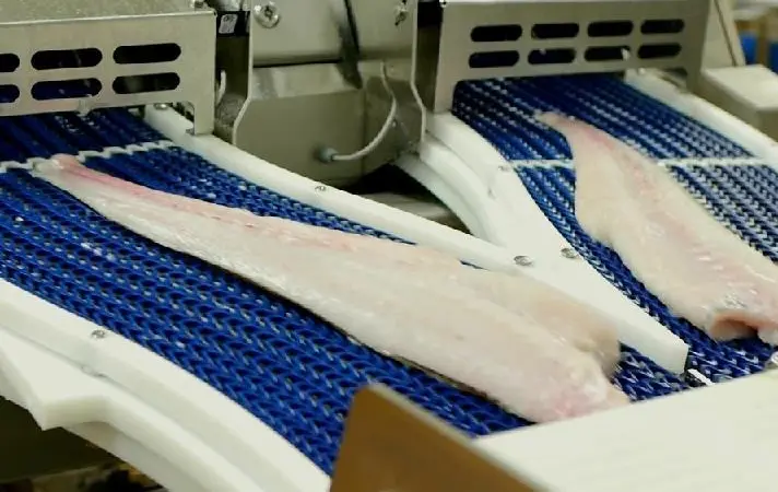 Direct transport from the filleting machine to the skinner