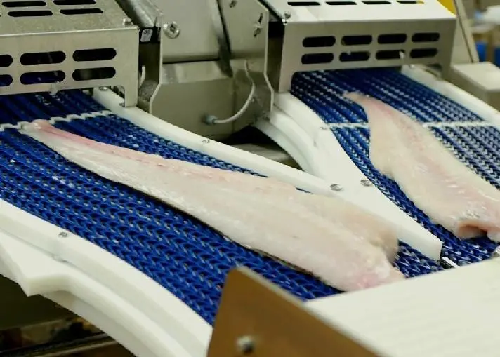 Direct transport from the filleting machine to the skinner