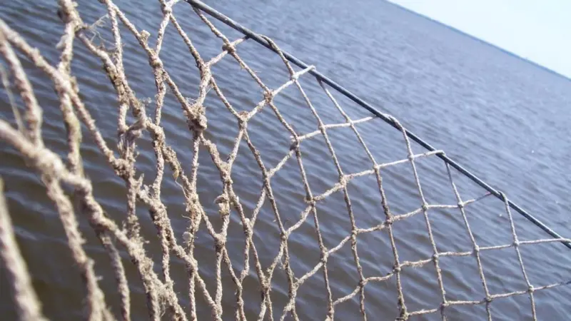 Research into new fishing gear and methods has increased as a result of the need for fishermen to become more sustainable and efficient