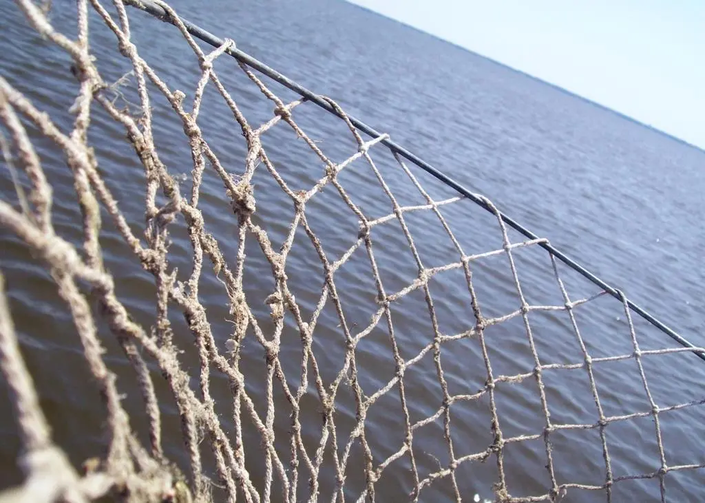 Research into new fishing gear and methods has increased as a result of the need for fishermen to become more sustainable and efficient