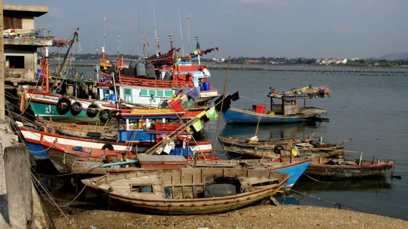 Asia is working in collaboration to combat IUU fishing Photo: SeaDave/CC BY 2.0