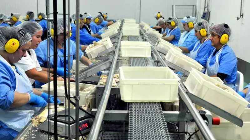 Grupo Consorcio is implementing an eco-plan which focuses on reducing the water consumption used in albacore and tuna canning