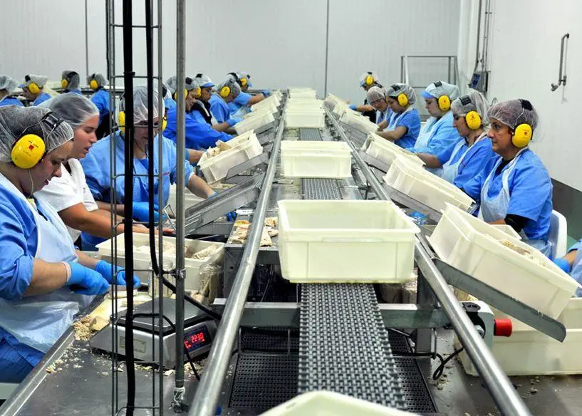 Grupo Consorcio is implementing an eco-plan which focuses on reducing the water consumption used in albacore and tuna canning