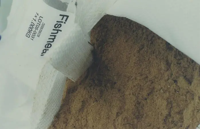 00_65461_fishmeal