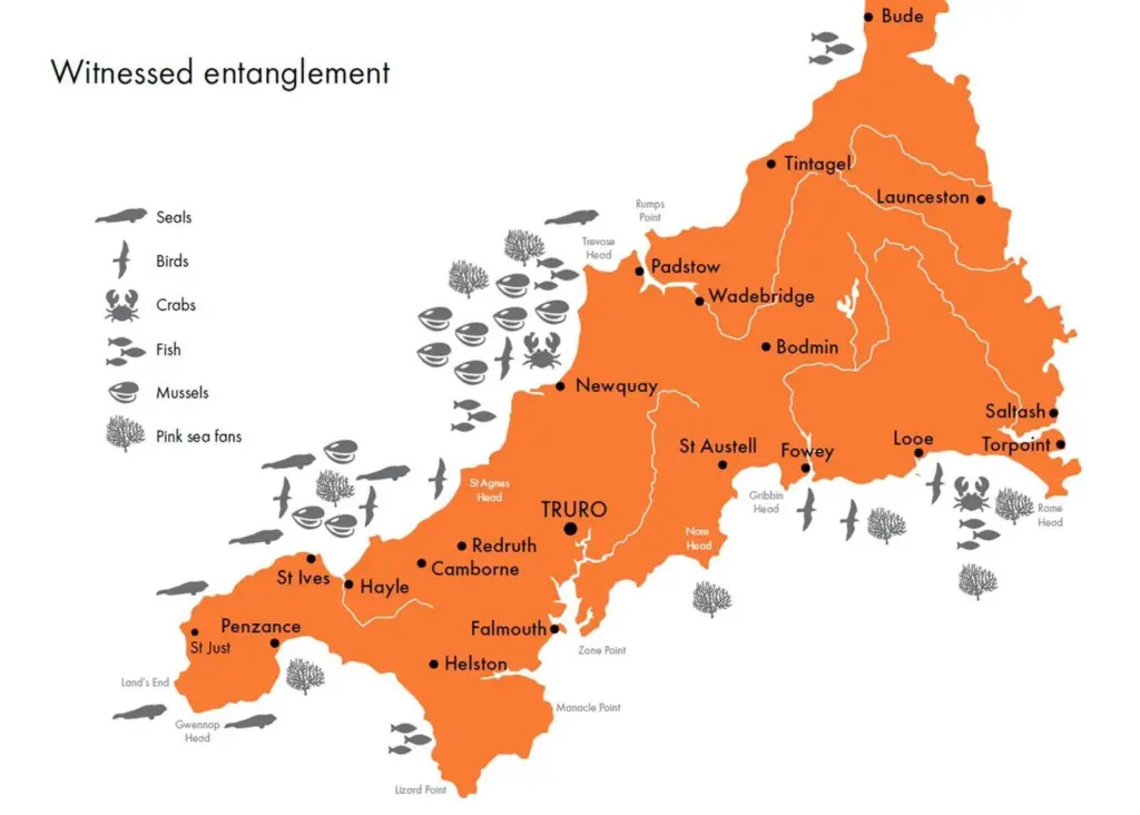 Map of witnessed entanglement