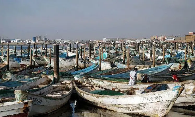 The EU has thrown its weight against tackling illegal fishing off West Africa