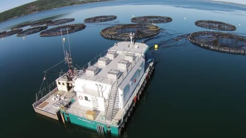 First salmon producer certified under new two-year BAP group audit