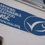 MSC certification continues to grow