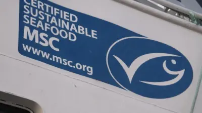MSC certification continues to grow