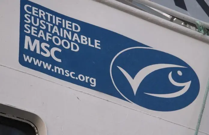 MSC certification continues to grow