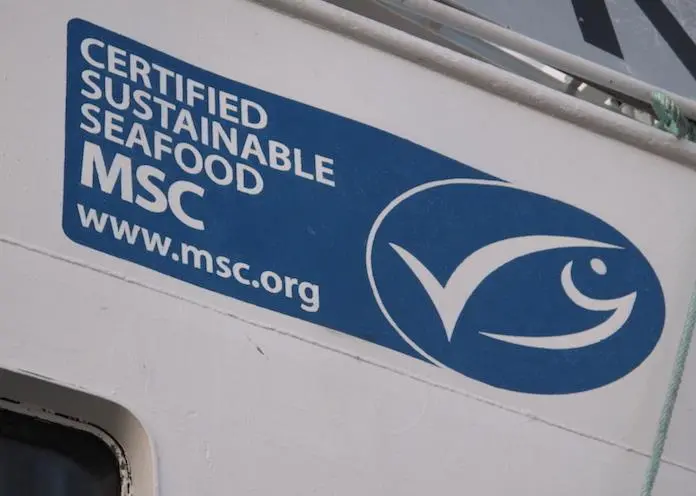 MSC certification continues to grow