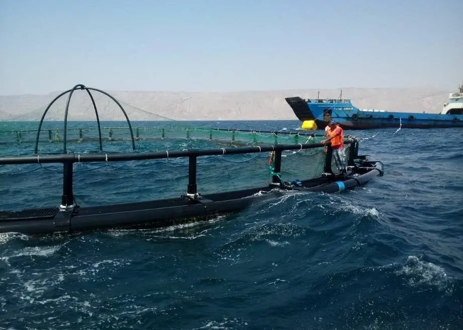 The Islamic Republic of Iran is one of the most important aquaculture producing countries in the Persian Gulf Region Photo: FAO