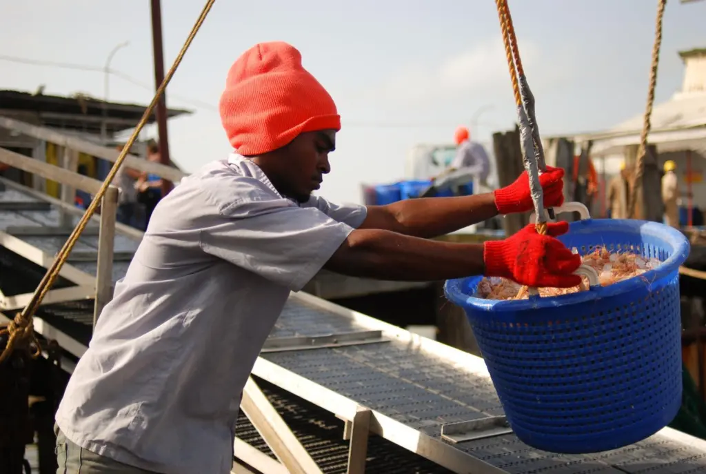 Previous winners of funding include Suriname coastal artisanal fisheries