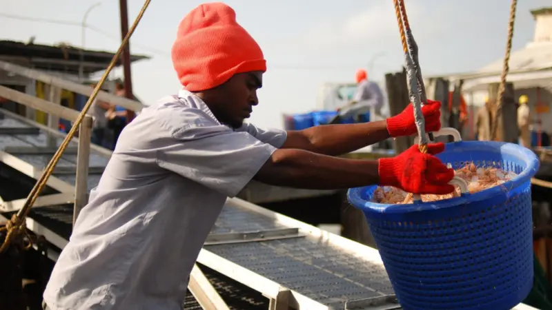 Previous winners of funding include Suriname coastal artisanal fisheries