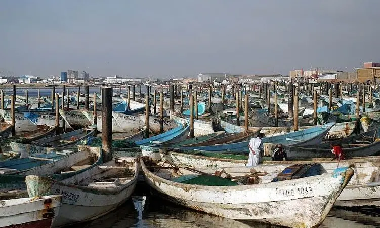 Mauritania confirmed its interest in the MACAPEL project Photo: Bertramz