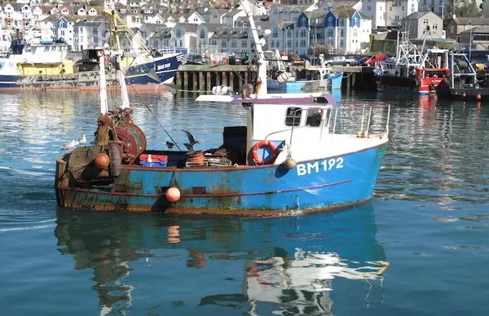 The 2017 catch limits have been set