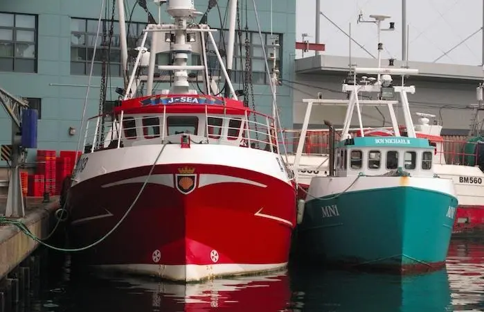 A new House of Lords report says that the industry must be consulted during port-Brexit negotiations