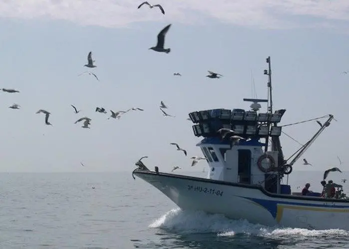 EuropecheBirds