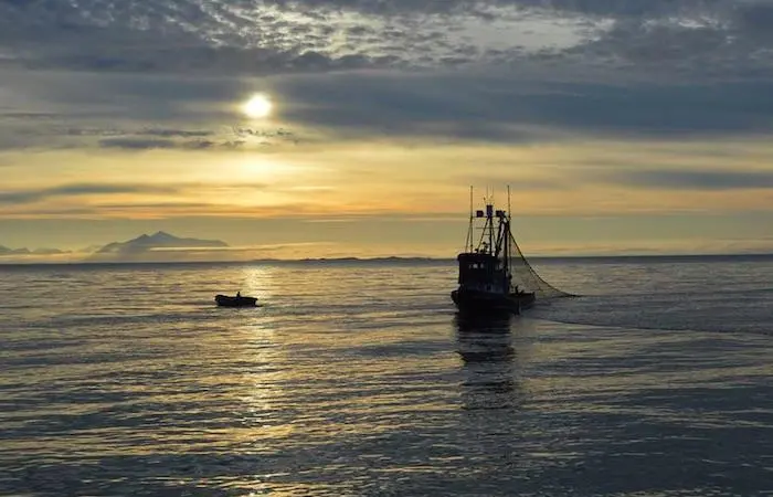 The US Seafood Harvesters commercial fishing group has a new executive director
