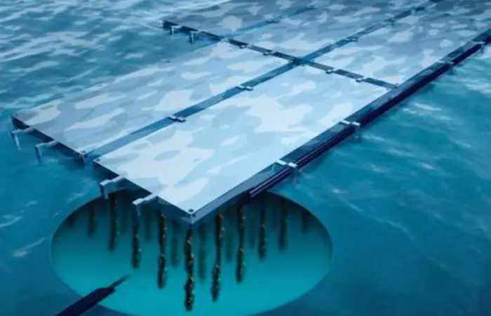 Investors are now in negotiation with Northlight Seafood
